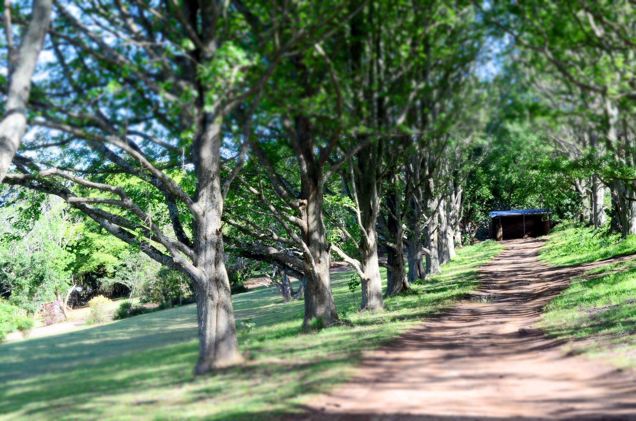 Vila Phezulu Safari Park Botha's Hill Exteriér fotografie